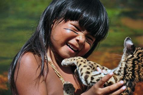 Native American Animals: A Guide to Wildlife