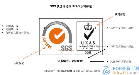 sgs检测_sgs认证_sgs报告查询-FOB亚马逊跨境电商学习和服务平台