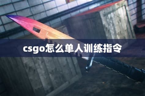 CS GO Learning 的图像结果