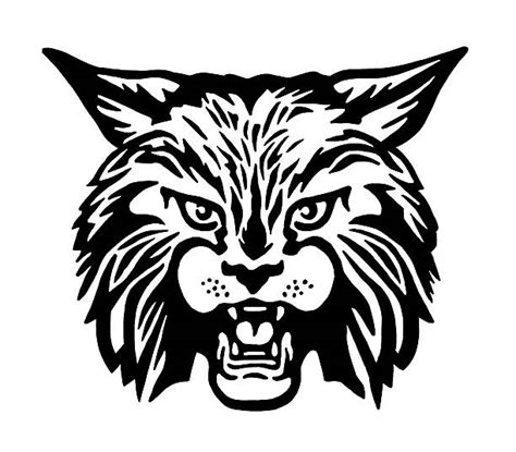 Bobcat Illustrations, Royalty-Free Vector Graphics & Clip Art - iStock