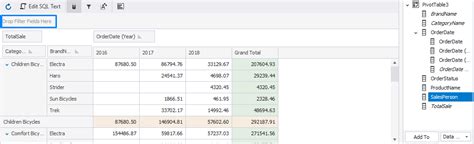 How to Filter Data in PivotTable 的图像结果