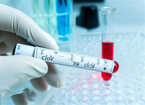 Best Biological Age Test Kit in the USA