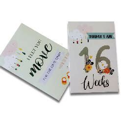 Pregnancy Milestones Flashcards- Pack of 24 – SchoolWizardApp Pvt. Ltd.
