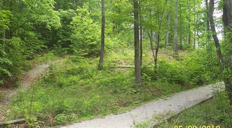 Image result for Patsy Cline Remains Found