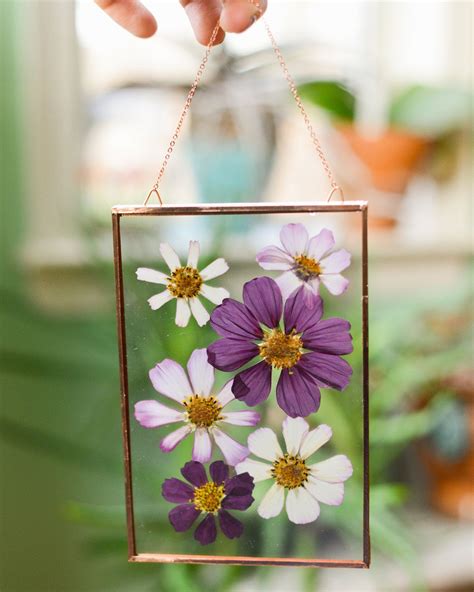 Pressed Flower Art Projects at Susie Branch blog