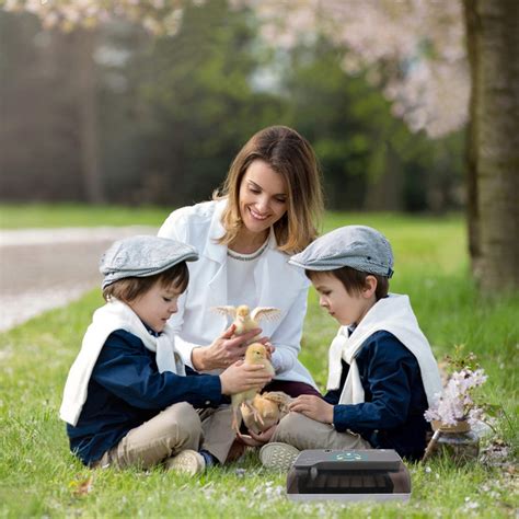 Egg Incubator, 9-15 Eggs Fully Automatic Poultry Hatcher Machine with ...