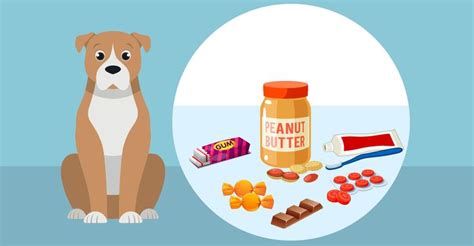 xylitol poisoning in dogs treatment at home