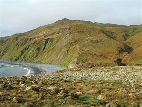 Macquarie Island | Subantarctic Wildlife, World Heritage Site | Britannica