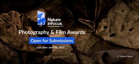 Nature travel, wildlife photography and conservation stories from India ...