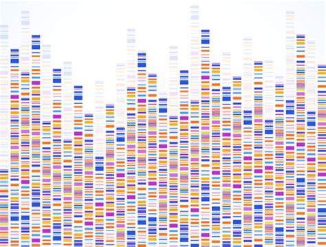 Image result for DNA Barcoding Explained