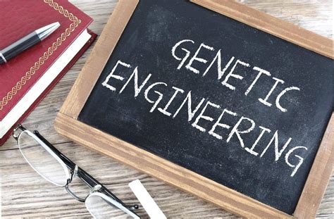 Image result for Genetic Engineering