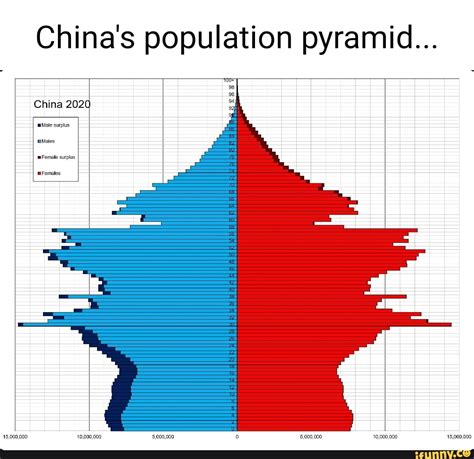 China's population pyramid... China 2020 surplus Males Female surplus ...