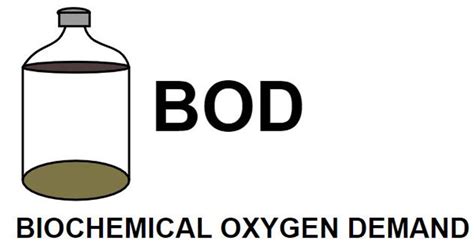 Biochemical Oxygen Demand (BOD) | BOD Equation & Solved Example