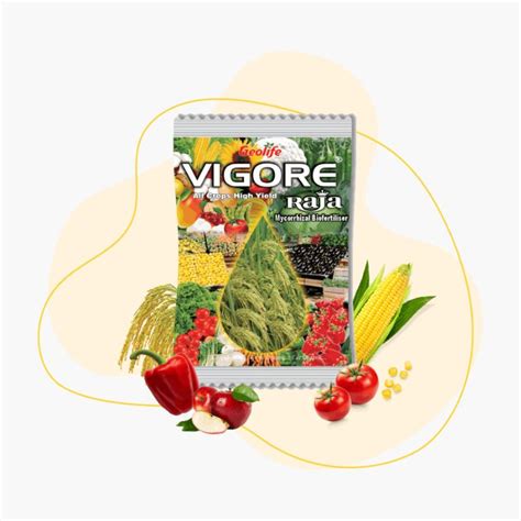 Geolife Vigore Raja High Performing Bio Fertilizer – Cultree India