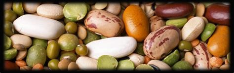 Welcome To Gujarat Export Company