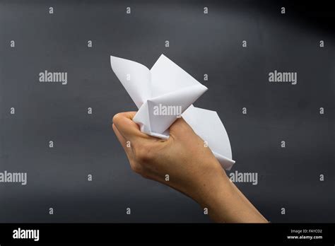 Image result for Paper Crumpling Art