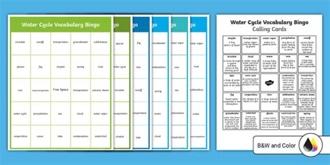 Eighth Grade Water Cycle Vocabulary Bingo (teacher made)