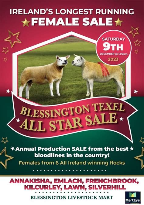 Blessington Texel All Stars In Lamb Ewe Sale, Blessington Texel All ...