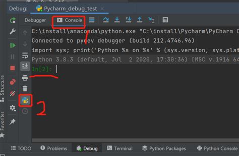 PyCharm Debug 的图像结果