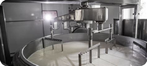 BINS & SERVICES FOODSURE | Food Startup Consultant Services