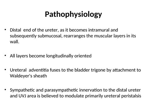 The kidney and The ureters Agenesis.ppt