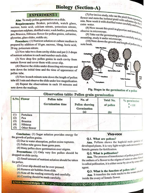 Example of Science Practical Exam 的图像结果