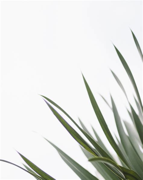 Jagannathan CS - Personal Portfolio Website