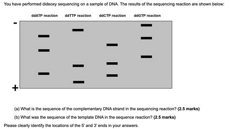 How to List the Complementary Non-Coding DNA Sequence 的图像结果