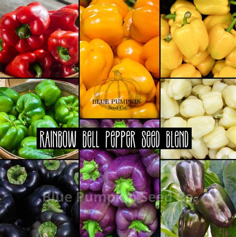 Rare Bell Pepper Colors Cheapest Selection | www.pinnaxis.com