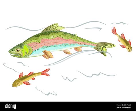 What Fish Eat Rainbow Trout: A Guide To Natural Predators