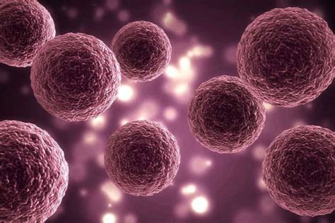 2D Vs. 3D Cell Culture Methodology: 4 Important Differentiating Points