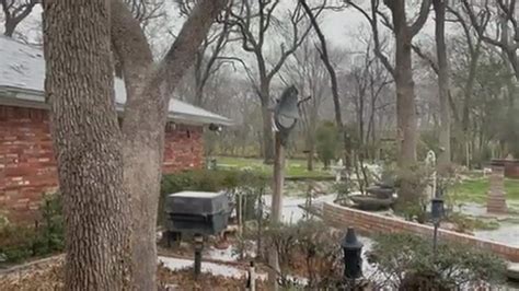 Thunder Sleet 的图像结果