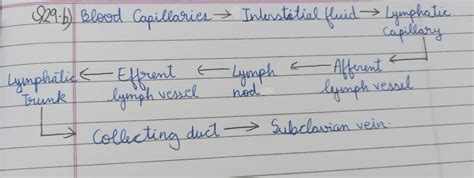 (a) Identify fluid A and fluid B. (b) With the help of a flow chart ...