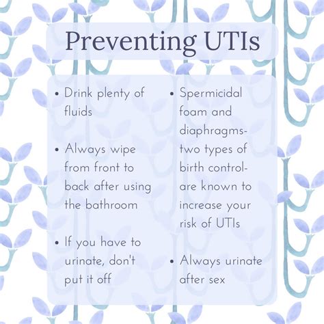 How to Prevent a UTI Naturally|5 Physio Tips to Avoid Repeat Bladder Infection 2 How to Prevent a UT