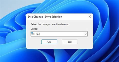 Windows Disk Cleanup 的图像结果