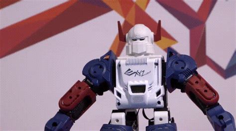 Image result for Pyznrobot