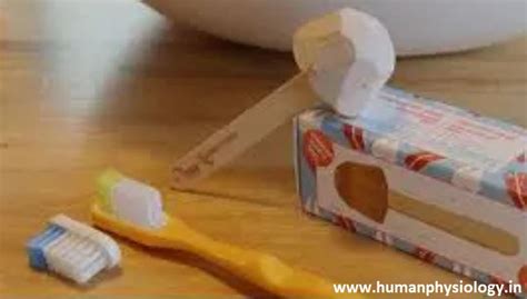 The Best Way To Clean Your Teeth With A Grin Biodegradable Toothbrush