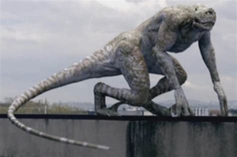 Tree Creeper vs Future Predator 的图像结果