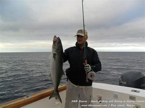 DBM Azores - Sport Fishing Charters (Sao Roque do Pico) - All You Need ...