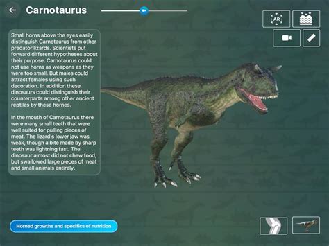 Australopithecus Discovery 的图像结果