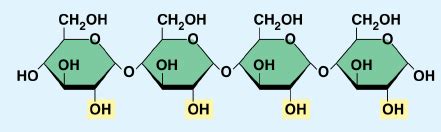 Image result for Macromolecules Functional Groups