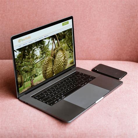 Ecommerce Websites - Ecommerce Website Portfolio