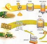 Image result for 生物燃料