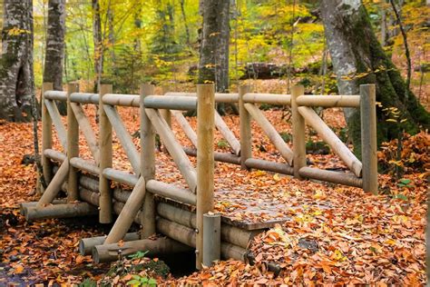 Image result for Homemade Log Bridge