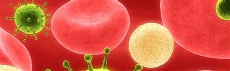 BIOGNOSYS TECHNOLOGIES (INDIA) PRIVATE LIMITED : Diagnosis Benchmarked ...