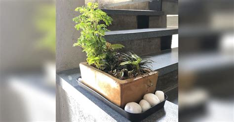 Beru By Vinama For Green Plants At Home | LBB, Bangalore