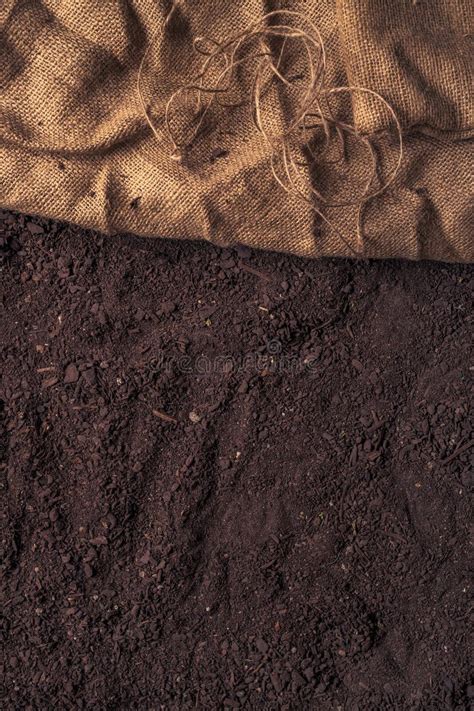 Image result for Compost Texture