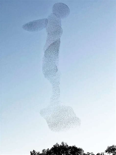 Image result for Random Object Photography