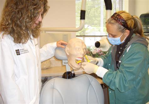 Dental Radiology Certification Nj at Sybil Downing blog