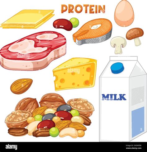 Clip Art Protein